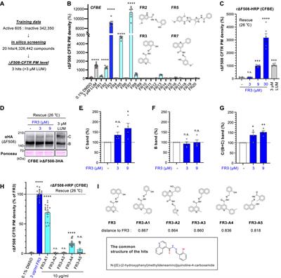 Ligand-based virtual-screening identified a novel CFTR ligand which improves the defective cell surface expression of misfolded ABC transporters